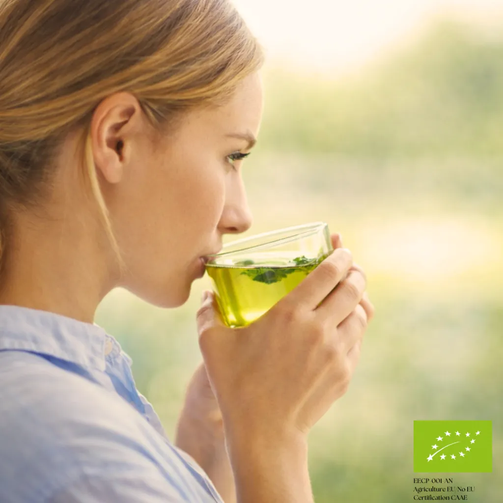 Design sans titre (3).webp